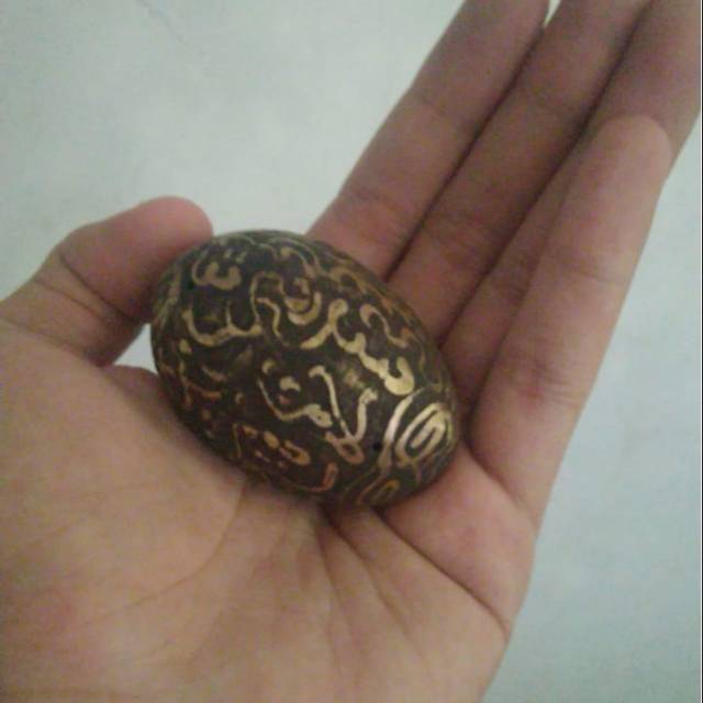 Harga Telur Rajah Terbaru Jul 2025 | BigGo Indonesia