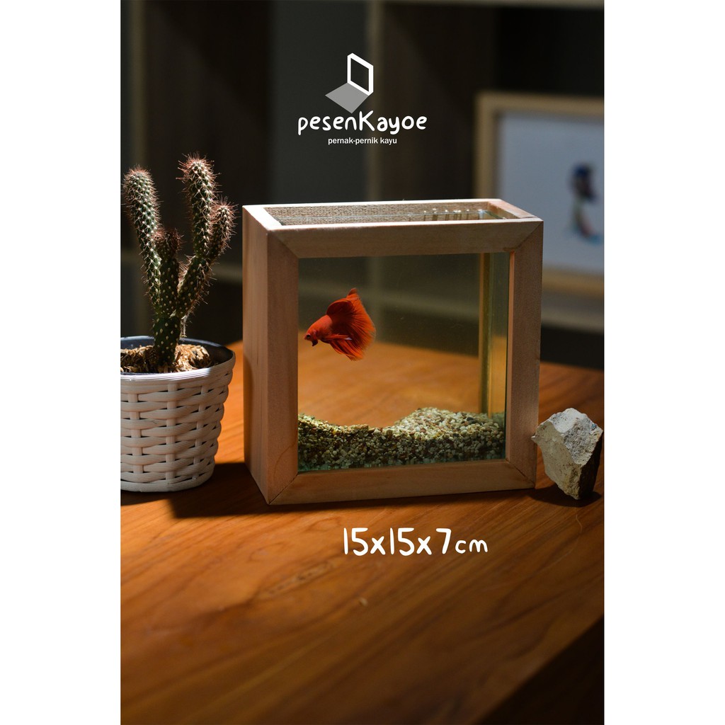 Aquarium Cupang Paludarium Unik Kayu Shopee Indonesia Aquarium kayu shopee