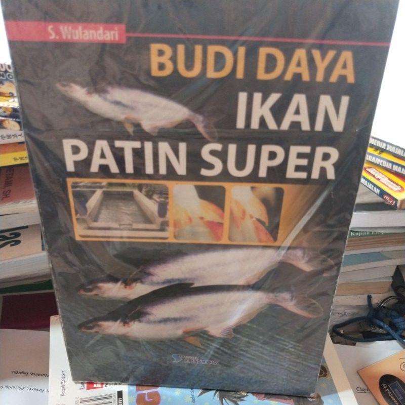 

BUDIDAYA IKAN PATIN SUPER