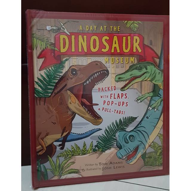A day at the dinosaur museum book