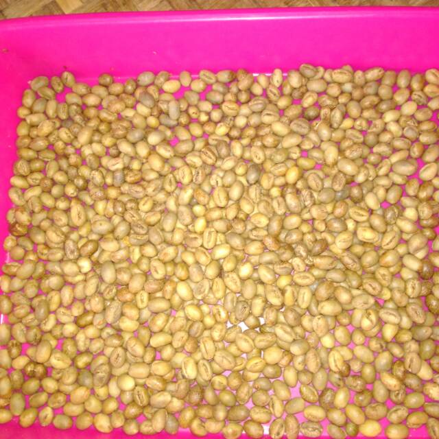

Kopi lanang / biji tunggal