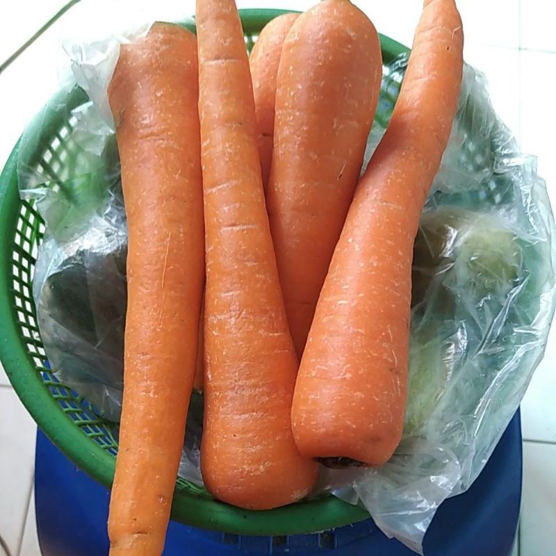 

Wortel segar kilogram