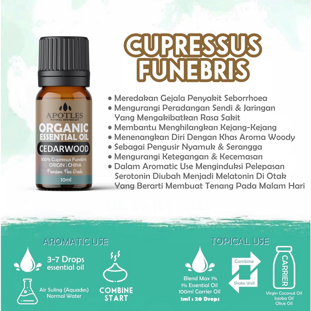 Cedarwood Pure Essential Oil - Minyak Aromaterapi Cedarwood Essential Oil 10ml