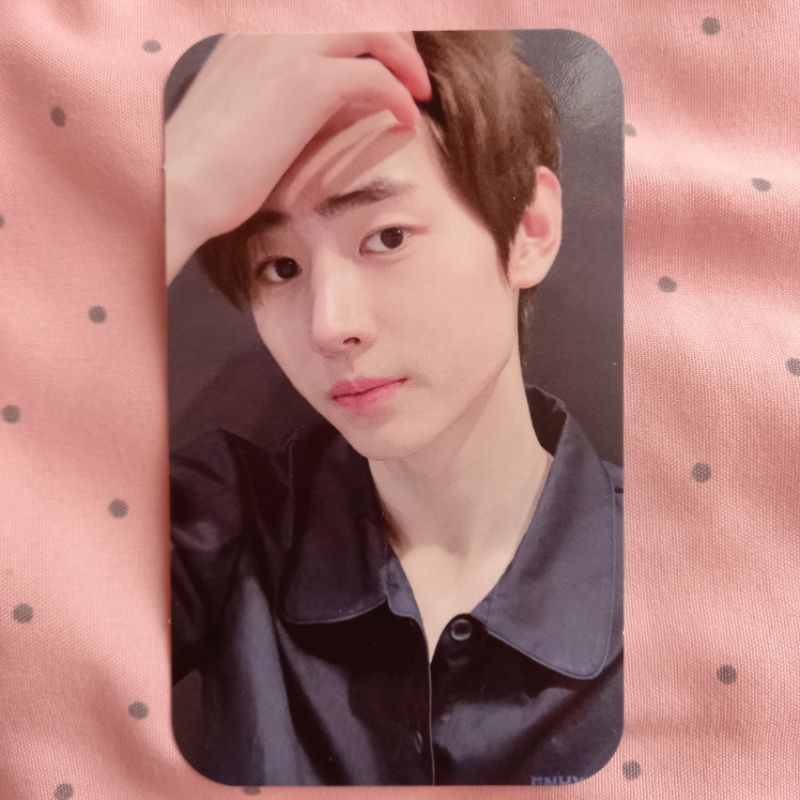 BOOKED photocard (pc) neck pillow (np) enhypen Sunghoon