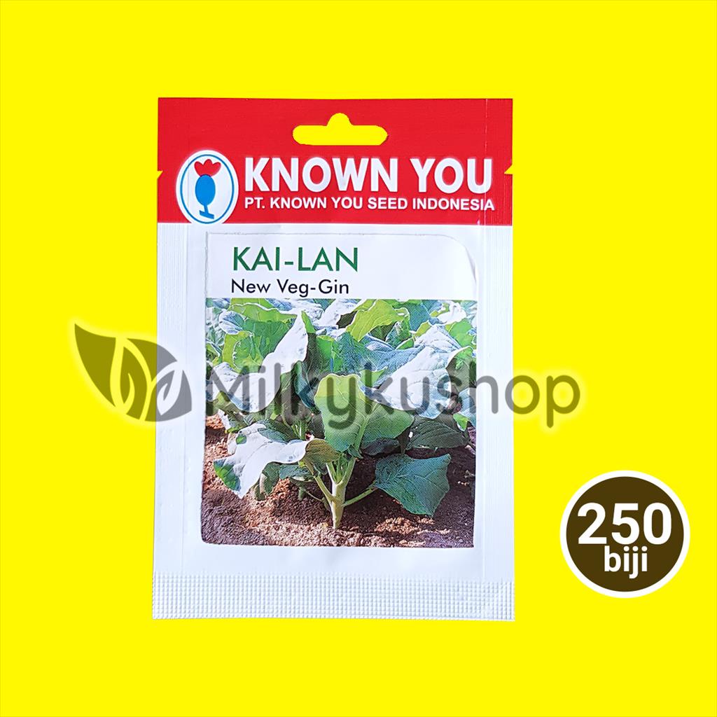 BENIH KYS KNOWN YOU SEED KAI-LAN NEW VEG-GIN 250 BIJI KAILAN KP