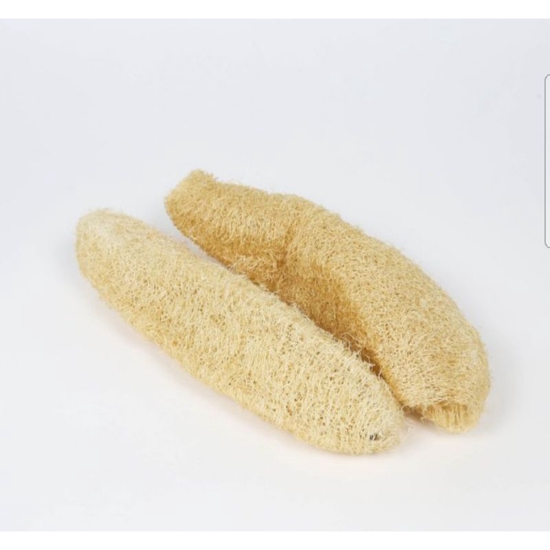 Serat Loofah/ gambas/ oyong kering/ sponge cuci piring alami -JUMBO-