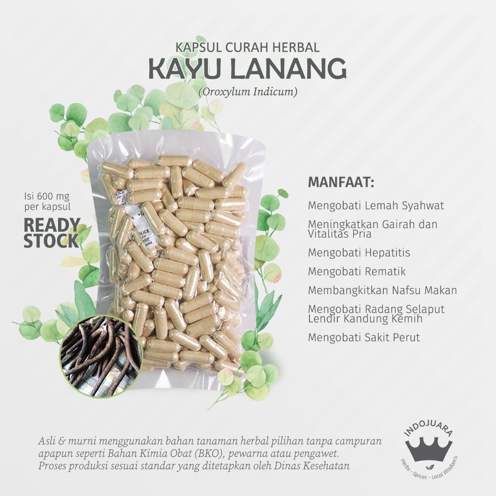 KAYU LANANG 200 Kapsul Curah Herbal Membangkitkan Nafsu Makan Mengobati Hepatitis