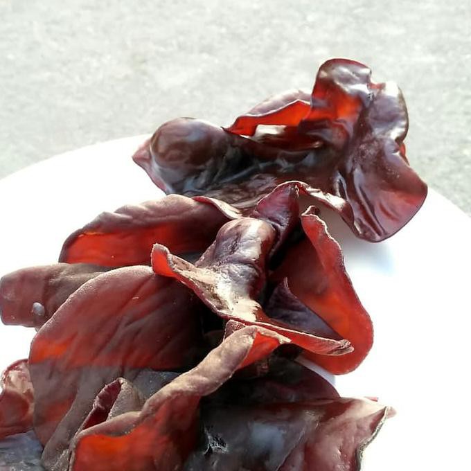 

** Jamur Kuping Fresh 500 Gram