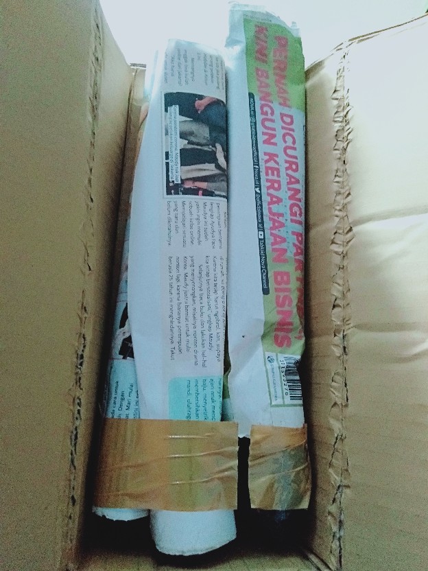 Tanaman Hias Aglonema Venus