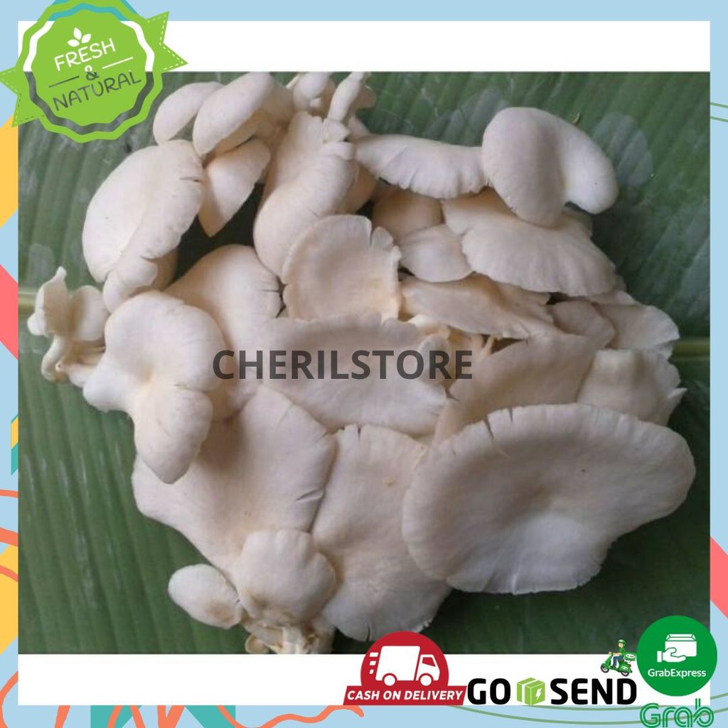

JAMUR TIRAM PACK 500 Gram / SAYUR SAYURAN FRESH JAKARTA