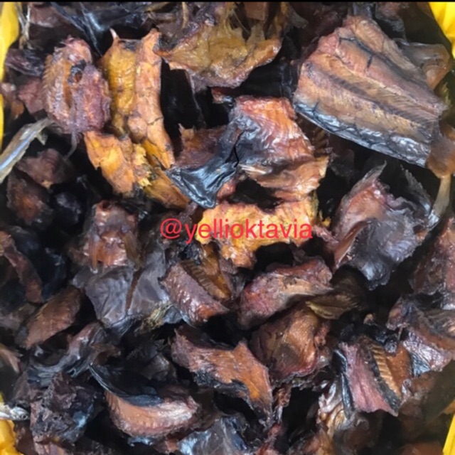 

Ikan Sale Besar