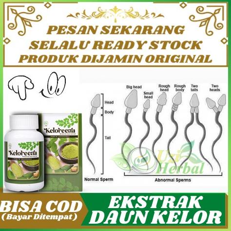 Obat Herbal Teratozoospermia, Kelainan / Bentuk Sperma Tidak Normal