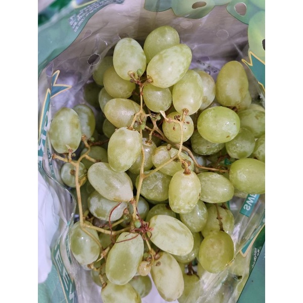 

Anggur Hijau Australia Seedless