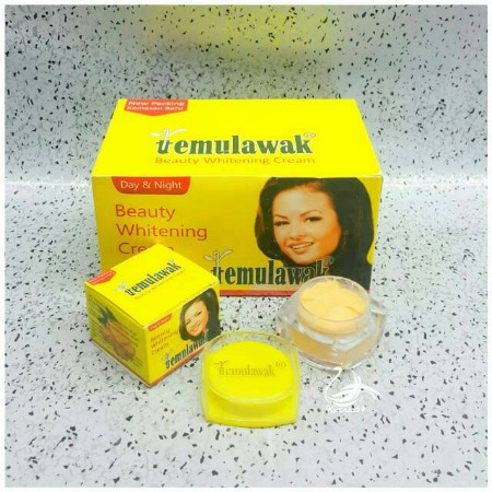 CREAM TEMULAWAK BEAUTY WHITENING CREAM DAY &amp; NIGHT