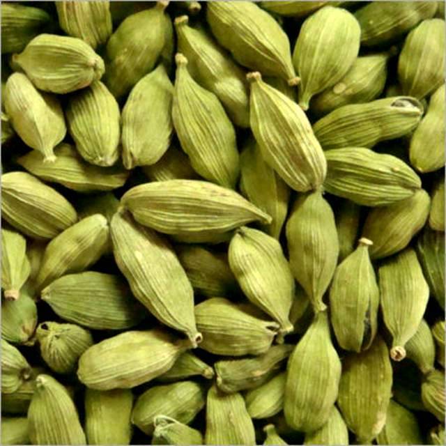 Cardamom kapol Kapulaga  Hijau Kapulaga India  kapolaga 