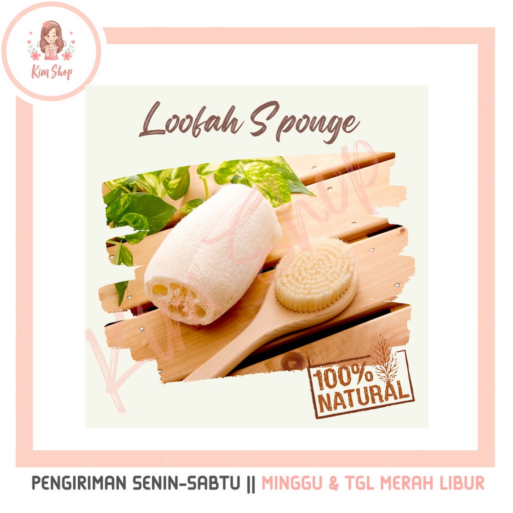 KIM SHOP - Loofah Sponge Spon Mandi Cuci Piring Lofah Gambas Oyong Luffa Lufah Scrub Blustru Kering 