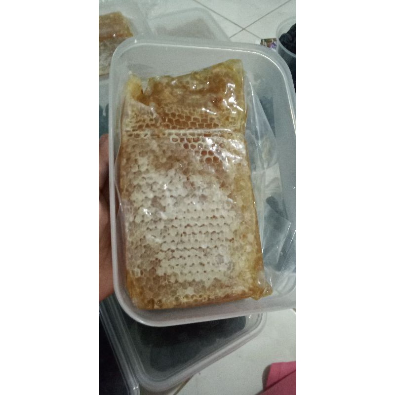 

madu sarang