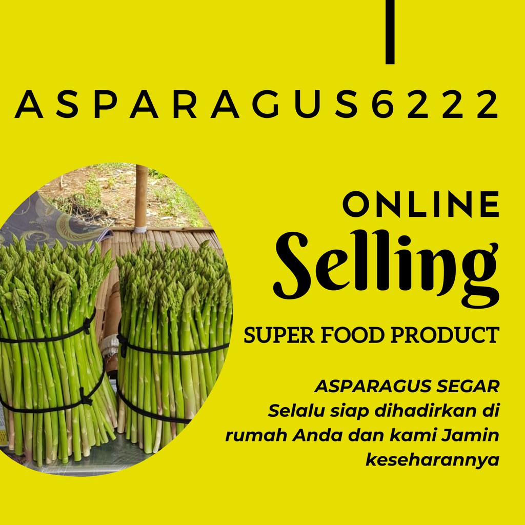 

Asparagus Sayur Segar - Super Food - 0.5 kg - Termurah - Kualitas Terbaik - Asli dari Perkebunan