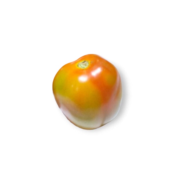 

TOMAT TW 500 GR