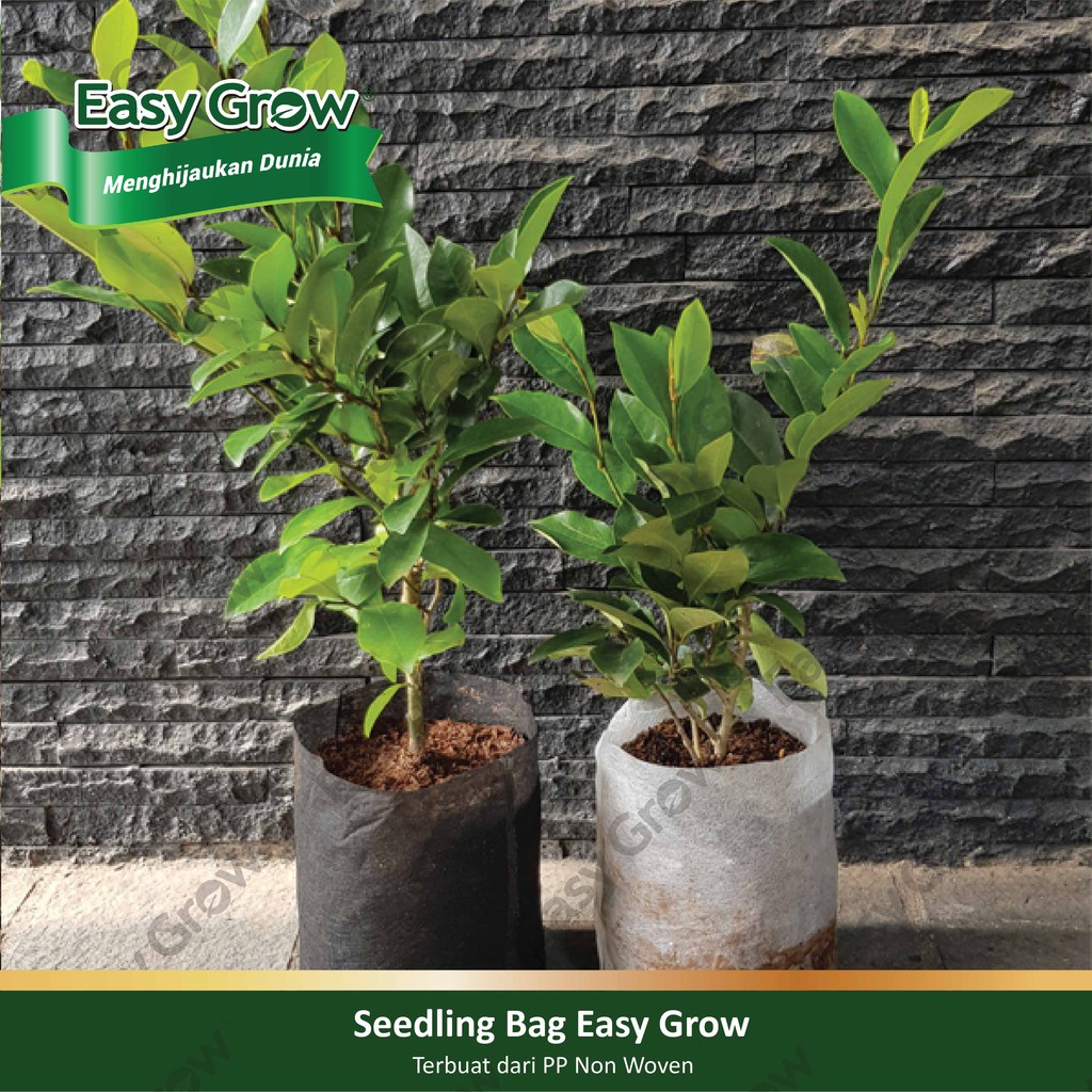 Easy Grow Seedling Bag 8x8 cm - Putih