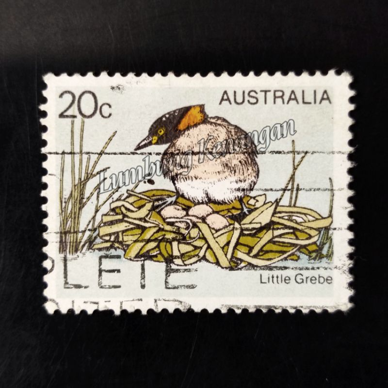 

Perangko Australia 20c Little grebe 1978