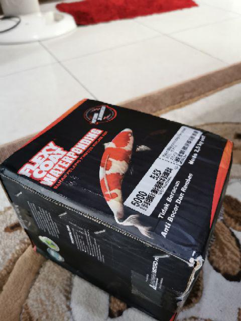 Flexy Coat Water Ponding/cat Pelapis Kolam 2,5kg