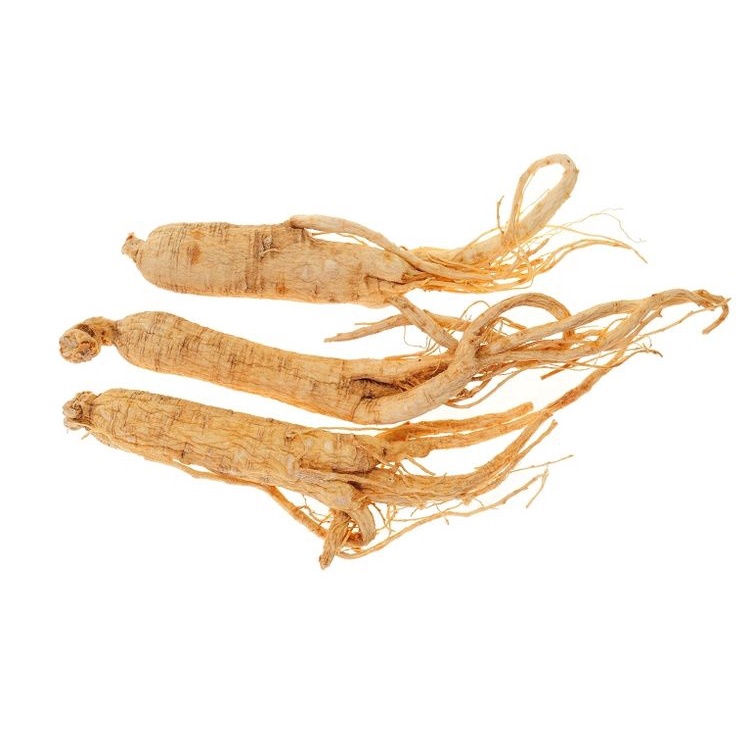 AKAR GINSENG UTUH 25 GRAM PREMIUM GRADE