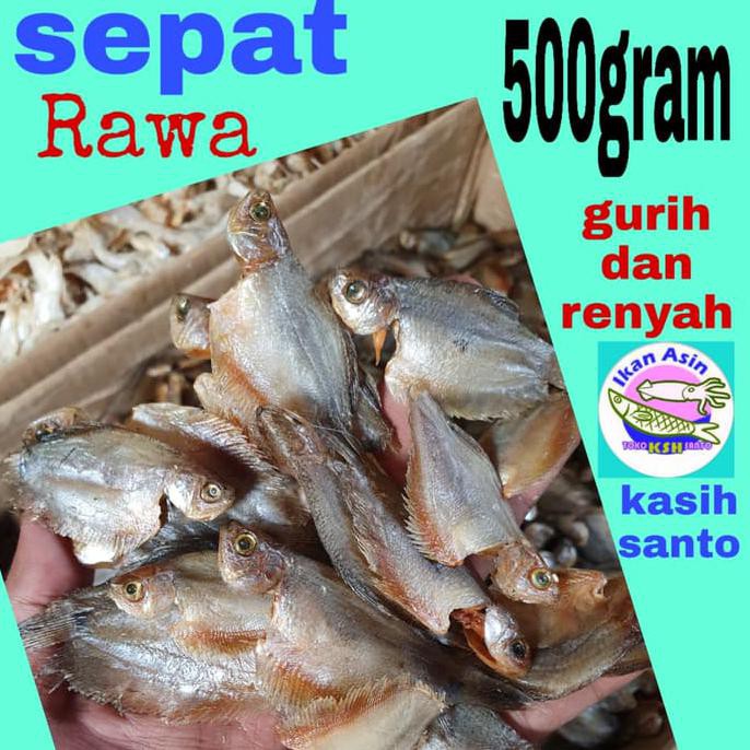 

Terlaris! Ikan Asin Sepat Rawa Air Tawar-500Gram