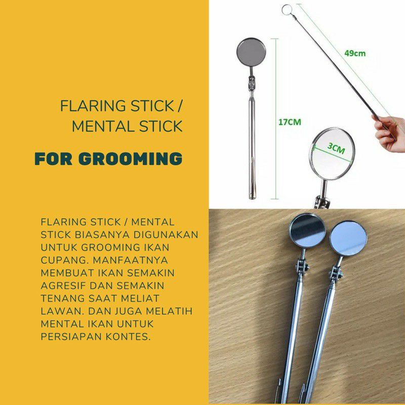 kaca mental stick cupang standart kontes