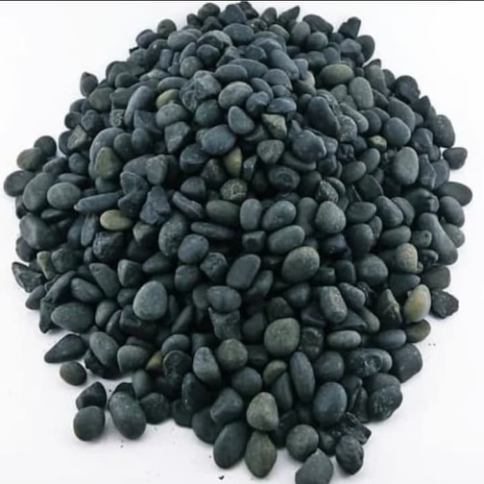 Batu Koral Hitam Bengkuku 1kg - Batu Hitam Hiasan Taman &Aquascape