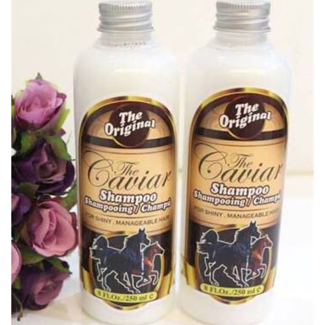 CAVIAR SHAMPO - CAVIAR SHAMPO - SHAMPO KUDA