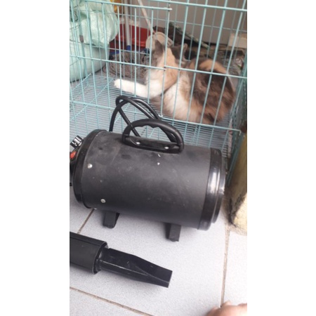 pengering bulu kucing