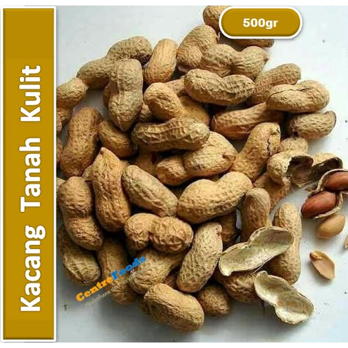 

Kacang Tanah Kulit | Mentah [ Berat 0,5Kg/500gr ]