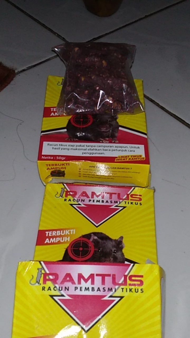 Ramtus Racun Tikus Ampuh Mati Kering Tidak Bau Pembasmi Curut Wirog Mencit Dirumah Di Mobil 5 Pack