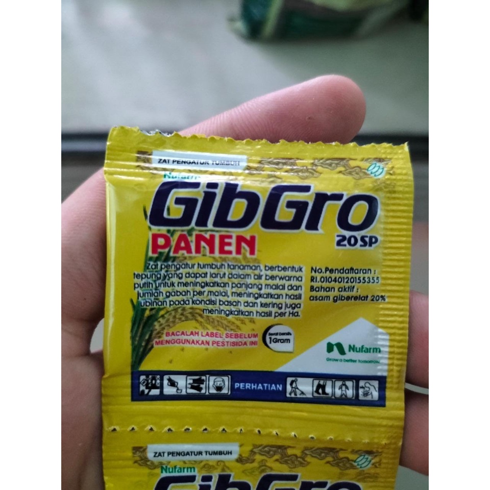 GIBRO PANEN 20sp