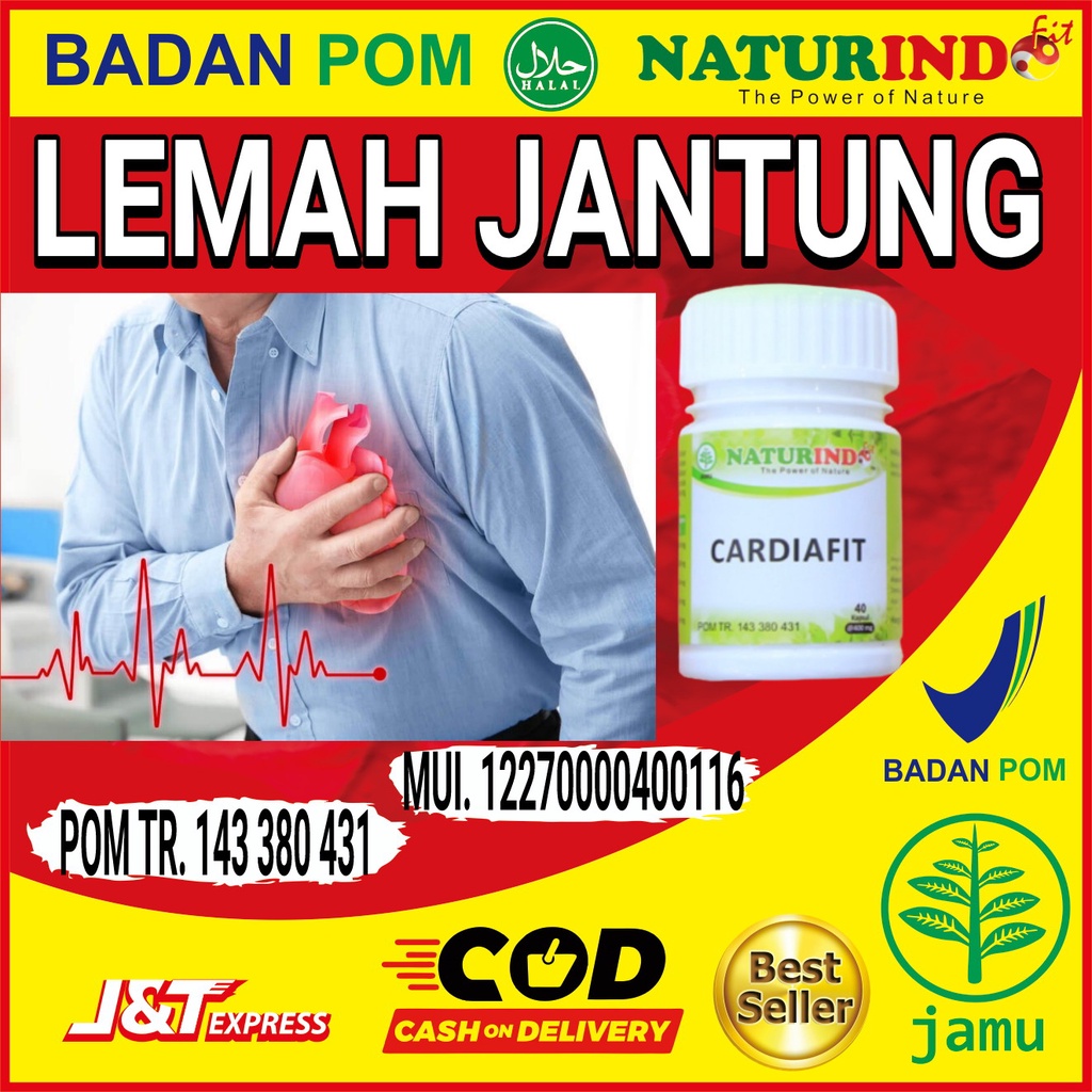 Obat Lemah Jantung Ampuh Jantung Bocor Bengkak Nyeri Lemah Serangan Jantung Herbal Ampuh