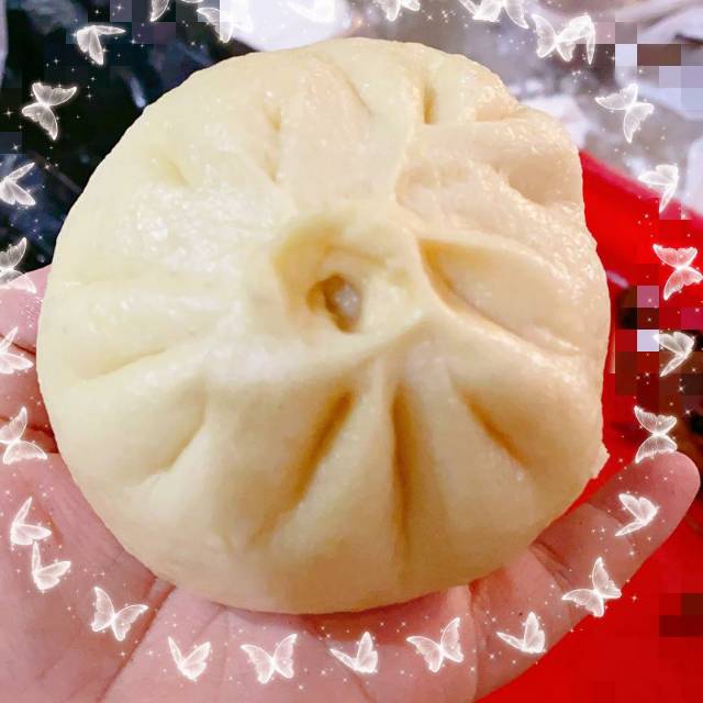 

Bakpao Babi Buncis / Seledri / Sawi putih