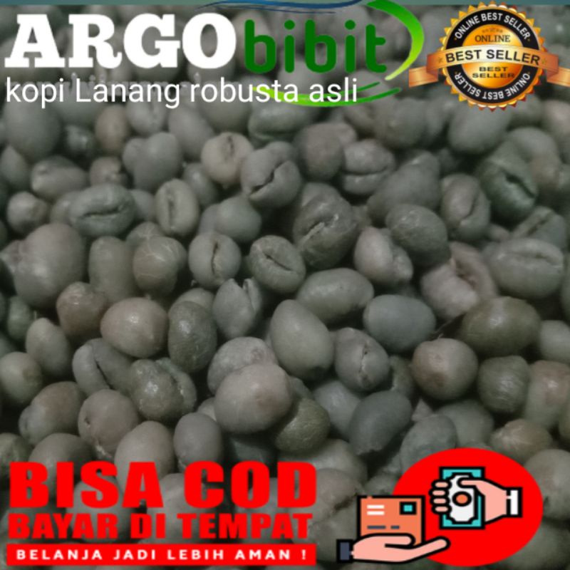 

biji kopilanang robusta fulwoss ukuran 10 g