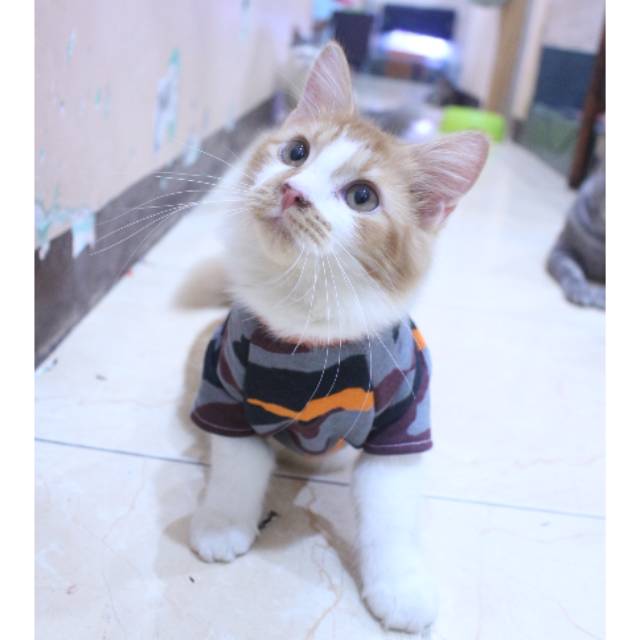 Kaos army dasar warna orange lucu untuk kucing dan anjing / baju kucing murah size S M L XL