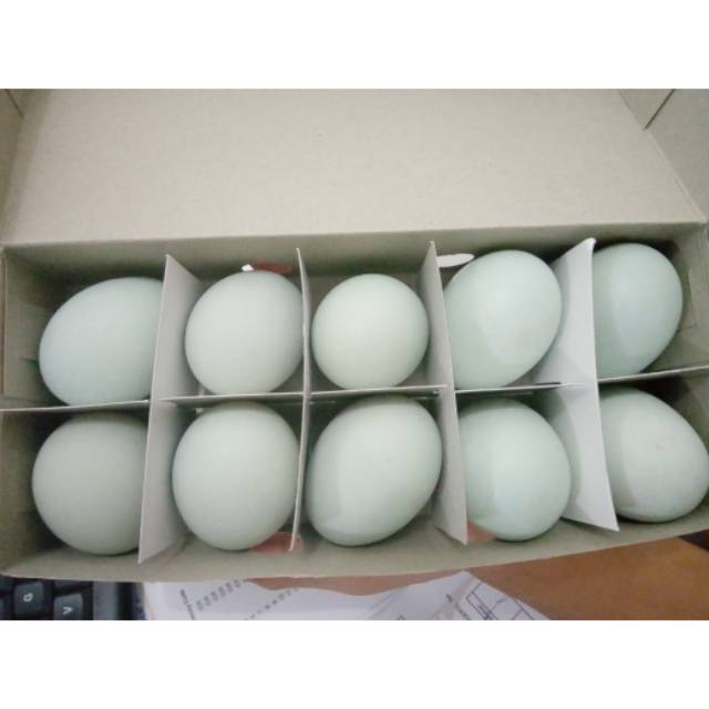 

Telor asin masir bebek pangon