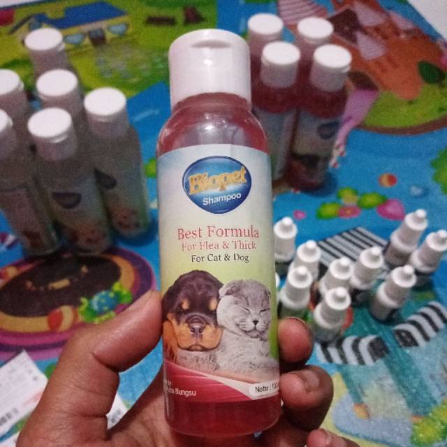 shampoo anti kutu kucing dan anjing