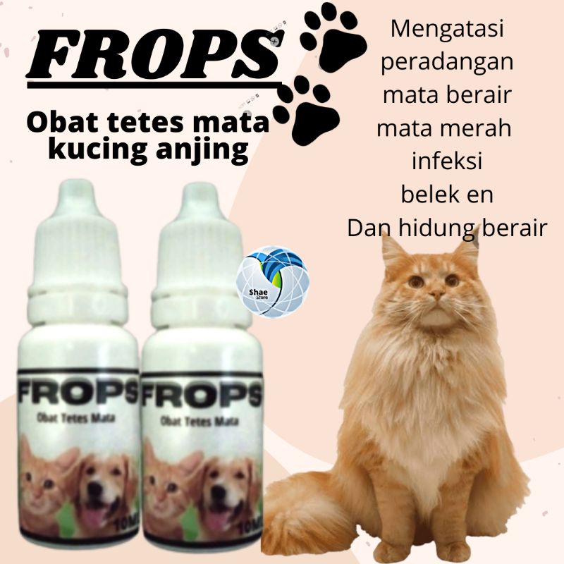 OBAT TETES MATA DAN HIDUNG KUCING ANJING FROPS