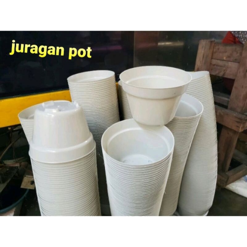 pot putih ukuran 20 pot tani isi 6