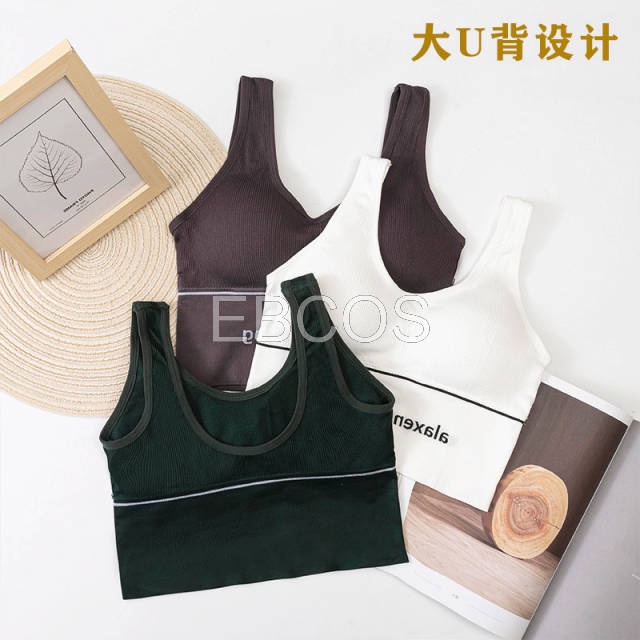 Sport Bra Gym Olahraga Push Up Wanita Tanpa Kawat Elastis Sexy Import