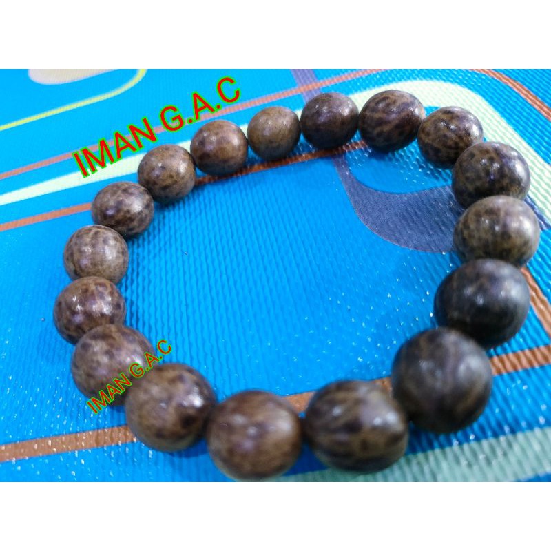 gelang biji gebang berserat