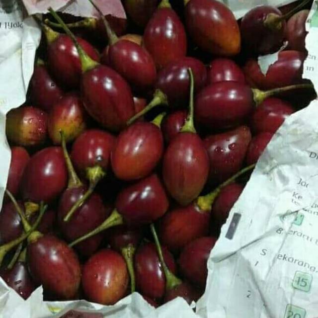 

Jual Terong Belanda 500gr