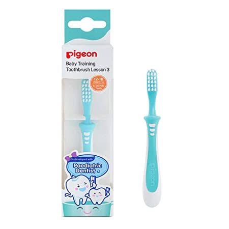 Pigeon - Training Toothbrush Lesson 3