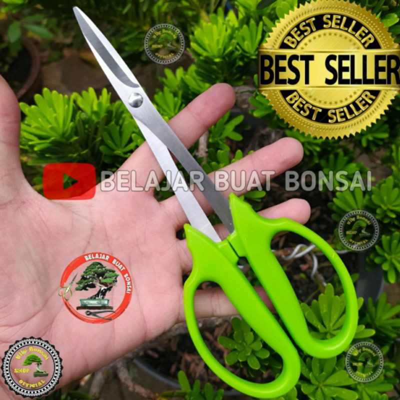 GUNTING PRUNING DAUN BONSAI UJUNG LANCIP