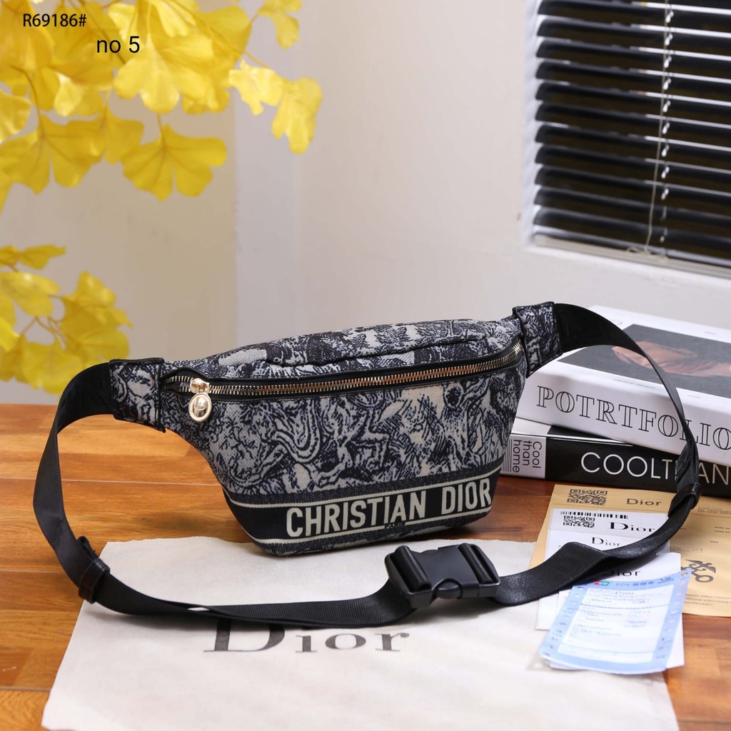 CD Canvas GHW Waist Bag R69186#