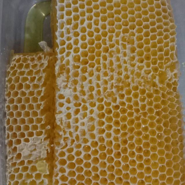 

[TERMURAH] MADU SARANG ASLI-MURNI BERAT 500g [COMB HONEY-RAW HONEY] MELIFERA/CERANA